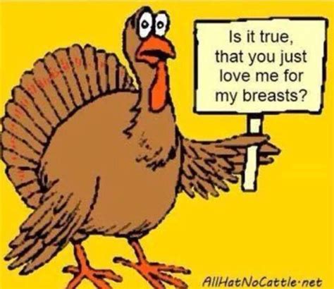 happy thanksgiving funny|funny happy thanksgiving pics.